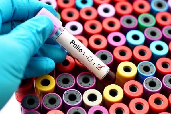 Virusuri polio sălbatice descoperite în Germania și Polonia. Medic: Rata mică de vaccinare crește riscurile
