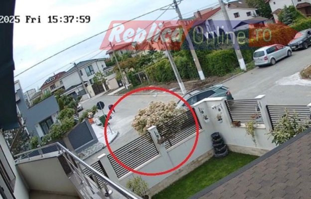 O javră de om! Un șofer a călcat intenționat cu mașina un cățel, în Ovidiu. Video 
