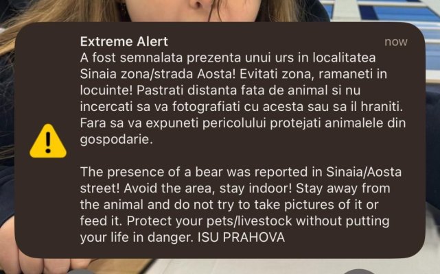 Un urs a fost văzut din nou pe străzile din Sinaia. A fost emis mesaj RO-ALERT