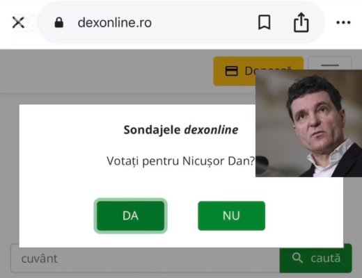 Biroul Electoral al Sectorului 5 a cerut eliminarea sondajului electoral pro Nicușor Dan de pe Dexonline