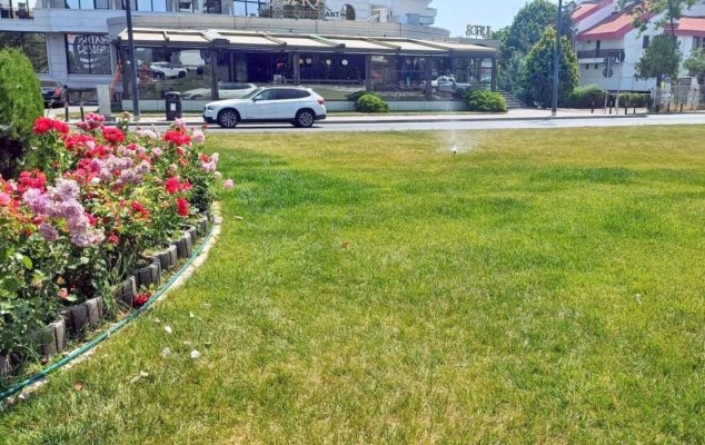 Primăria Constanța anunță că acțiunile de îngrijire a spațiilor verzi continuă