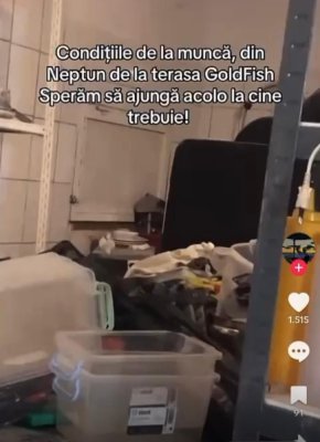 La terasa Goldfish, din Neptun, condițiile de muncă și de cazare ar trebui luate la bani mărunți de autorități! Video 