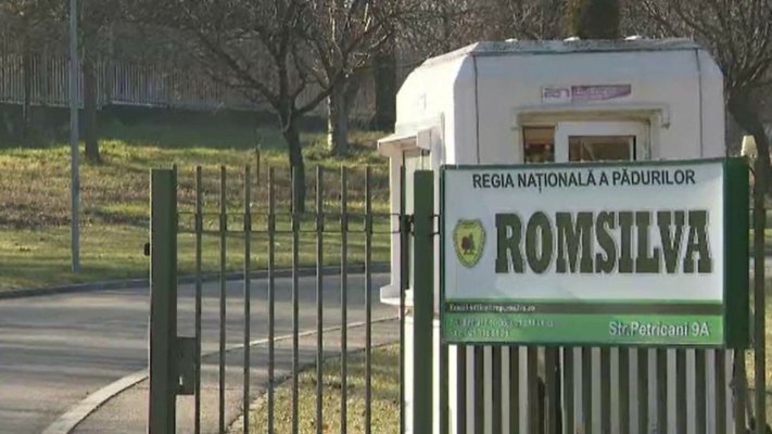 Milioane de euro acordate ilegal ca prime și sporuri, la Romsilva și Transelectrica