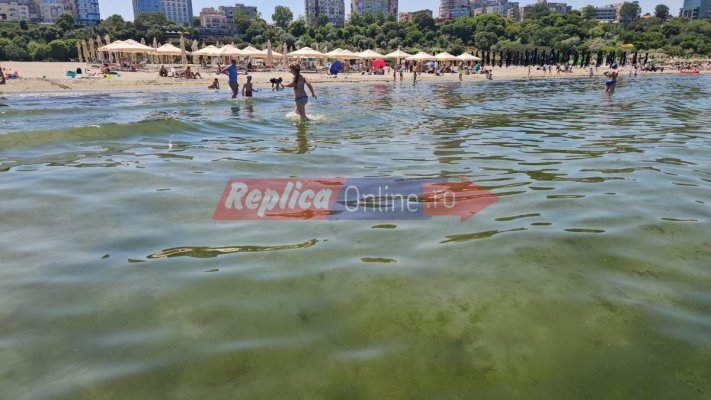 Alo, Apele Române! Nu poți să intri în apă din cauza algelor și a meduzelor. Faceți ceva?! Video