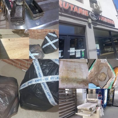 Brutărie din București, plină de gândaci și mucegai. Oamenii lui Piedone au închis de urgență