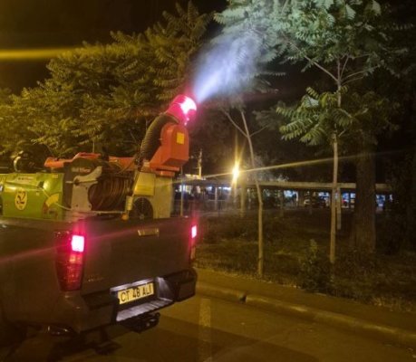 Acțiunile de dezinsecție continuă în municipiul Constanța și stațiunea Mamaia
