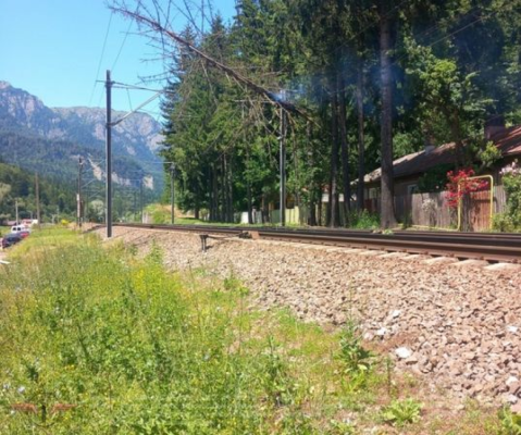 Trafic blocat pe Valea Prahovei. Un copac a căzut pe calea ferată