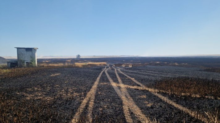 Pompierii intervin la foc continuu! Incendiile de vegetație fac prăpăd în județul Constanța!