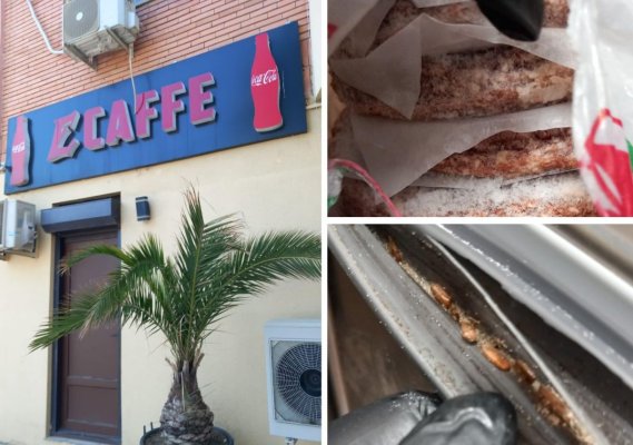Mizerie și gândaci, la restaurantul E Cafe din Năvodari. A fost închis de inspectorii OPC. Video