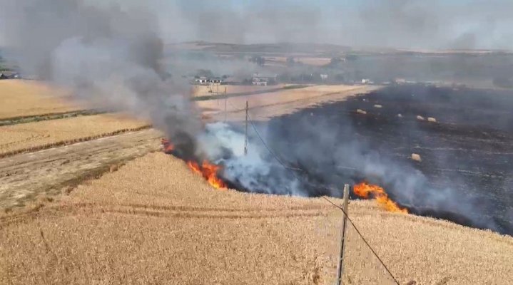 Incendii de vegetație extinse la culturi de cereale, în zona localității Babadag. Video