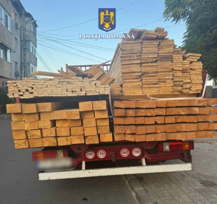 Un bărbat care transporta o cantitate mai mare de lemne decât cea din acte, prins de polițiștii din Murfatlar