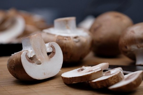 Doar două ciuperci din acest soi, la o masă, pot reduce cu până la 45% riscul de cancer