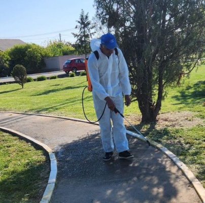 Primăria Valu lui Traian, anunț privind dezinsecția în parcuri