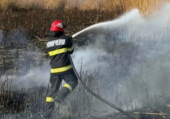 Incendiu de vegetație uscată, în Medgidia, pe strada Triumfului