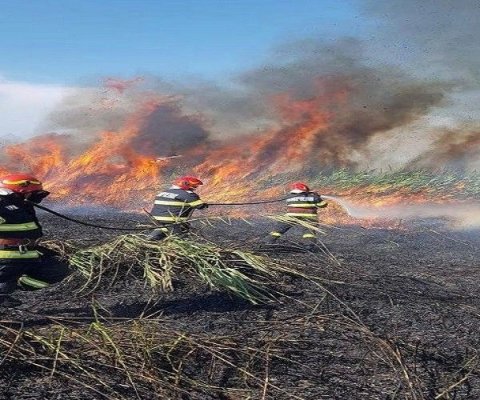 Incendiu violent de vegetație uscată, în Poarta Albă!