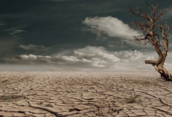 Meteorologii ANM au emis o prognoza verii: România, lovită de o secetă puternică