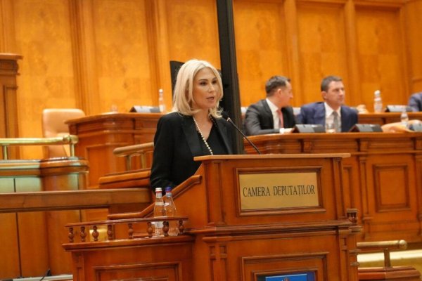 Raluca Turcan, PNL: Am ajuns să avem o imagine publică de 'breloc' al PSD