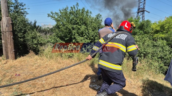 Alertă pe Valea Portului! A izbucnit un incendiu puternic de vegetație!  Video