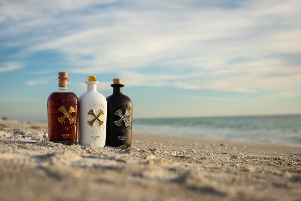 Beach, Please! aduce în festival un concept nou de energie și surprize, alături de artiștii care vor urca pe scenă