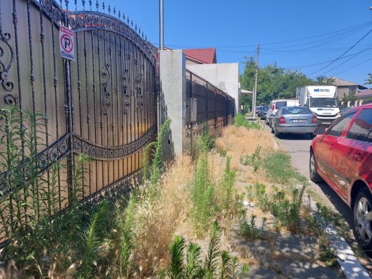 Pe trotuarele din cartierul Inel 2 se circulă din ce în ce mai greu, din cauza bălăriilor! Video 