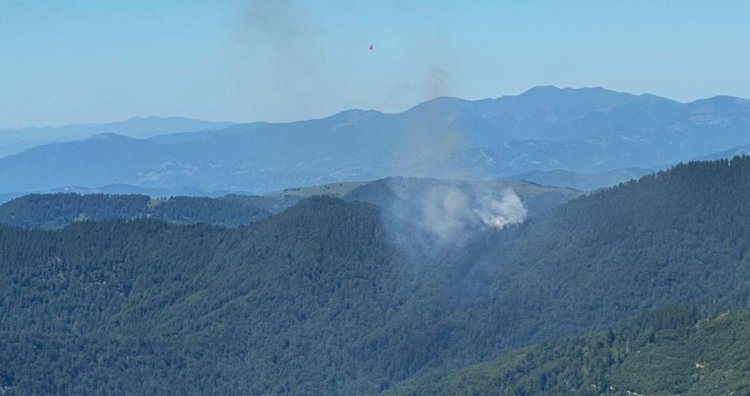 Incendiu de fond forestier, în Masivul Țibleș. Video