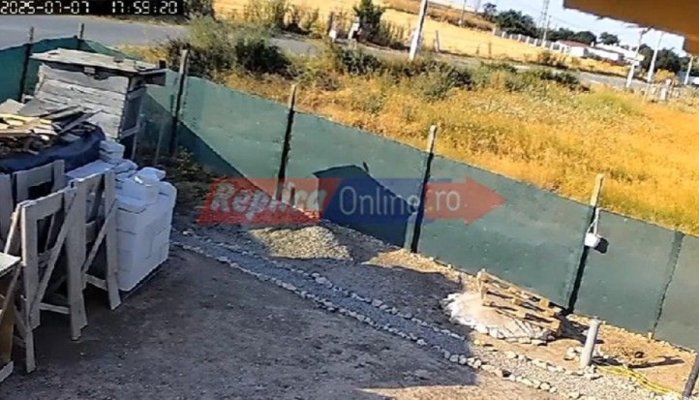 Persoanele care au pornit incendiul din apropierea Căminului de Bătrâni, din Poarta Albă, au fost identificate