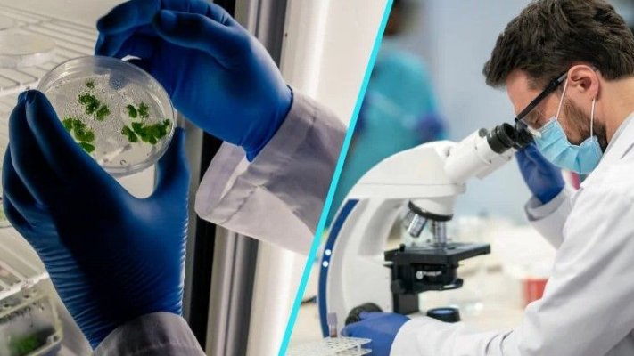Alertă sanitară în România: „Boala legionarului“, molima care poate ucide rapid, este în creștere constantă