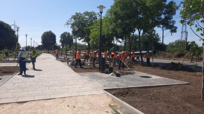 Primăria Constanța execută lucrări de întreținere și îngrijire a spațiilor verzi din oraș