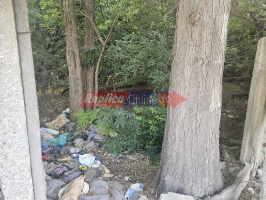 Civilizația se oprește la Vivo: Barbu Ștefănescu Delavrancea, o stradă sufocată de gunoaie! Video 