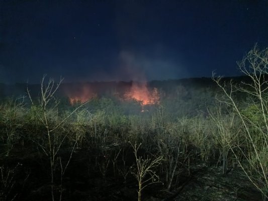 Incendiu de vegetație uscată, în localitatea Casian. Pompierii au intervenit cu 7 autospeciale