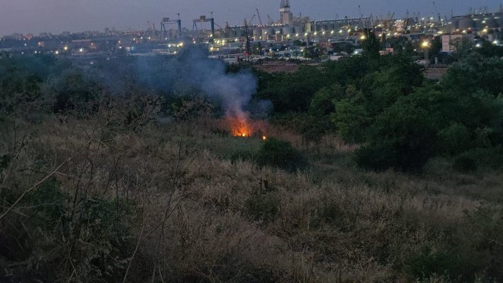 Alertă! Incendiu de vegetație uscată, pe Valea Portului. Video