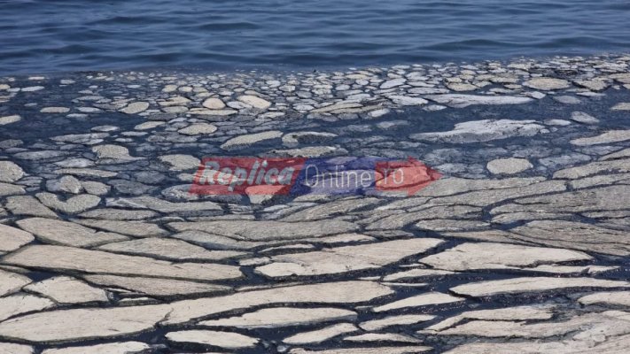 Apa mării în zona Mamaia Nord a devenit neagră și miroase urât! Video 