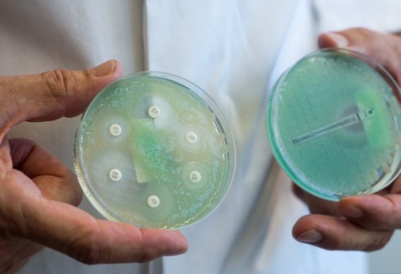 Bacteria pseudomonas aeruginosa, descoperită în apa de la un spital de Pneumoftiziologie din Prahova