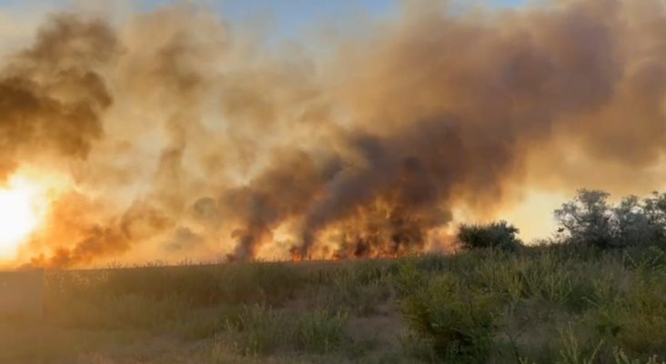 Un autoturism a luat foc, pe A2. Incendiul s-a extins la 20 ha. de vegetație uscată din zonă. Video