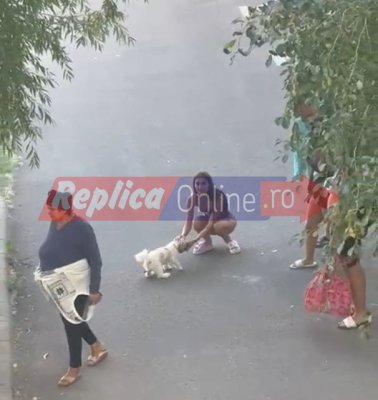 Scandal ”canin” în SummerLand! O tânără i-a ”confiscat” câinele unei femei pentru că l-a lovit cu picioarele în burtă! Video  
