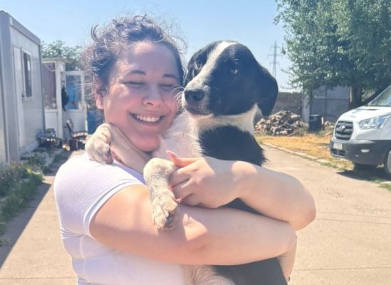Încă un cățel a plecat acasă. Campania „Adoptă un cățel! Salvează o viață!” continuă