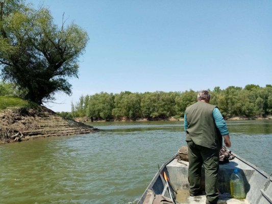 Criză la Romsilva: Mai multe direcții printre care și cea de la Constanța au înregistrat pierderi masive