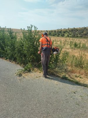 Ecologizarea drumurilor județene și a zonelor din apropierea carosabilului