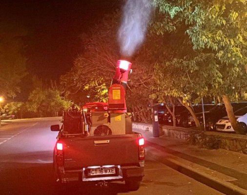 Primăria Cernavodă va aplica tratamente pentru combaterea insectelor de disconfort