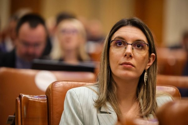 PSD așteaptă decizia Dianei Buzoianu, altfel va vota moțiunea celor de la AUR