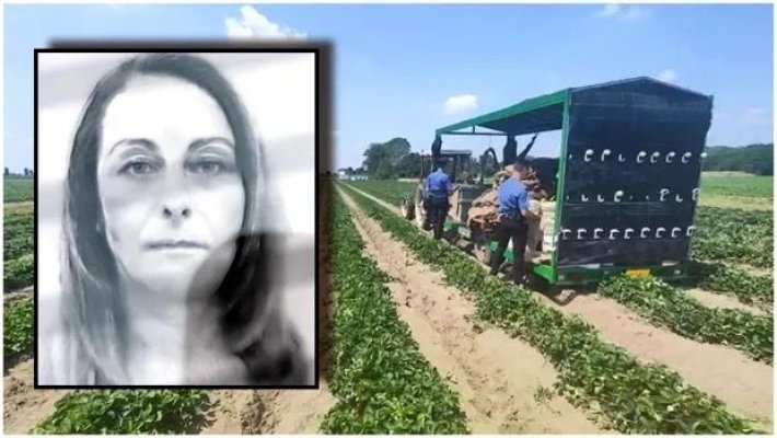 O româncă din Italia a murit strivită de un tractor în timp ce era la cules de căpșuni