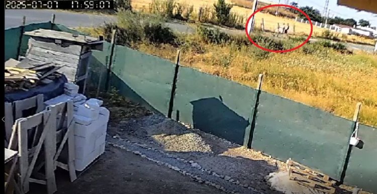 Ei sunt cei trei inconștienți care au pornit incendiul de luni seară de la Poarta Albă. Video