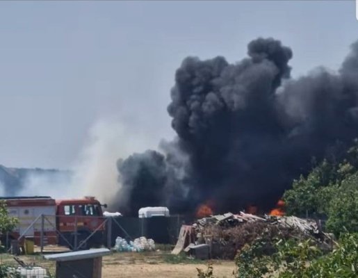 Alertă! Incendiu de vegetație la Costinești. Video