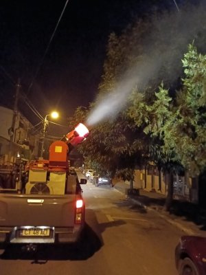 Primăria Municipiului Constanța continuă acțiunile pentru reducerea populației de insecte 