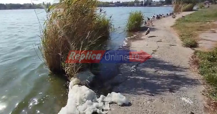 Cum a ajuns malul lacului Tăbăcărie o cursă cu obstacole pentru vizitatori! Video