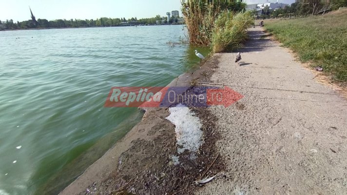 Malul lacului Tăbăcărie intră în sfârșit în reabilitare... Valoarea investiției, 5 mil. de euro. Video  