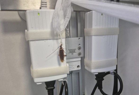 Imaginile groazei de la Spitalul Floreasca au avut ecou: Ministrul Sănătății a dispus un control amplu