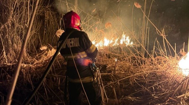 Incendiu de vegetație uscată, la ieșire din localitatea Lipnița