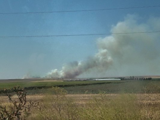 Două incendii de vegetație la Țepeș Vodă și Saraiu! Video
