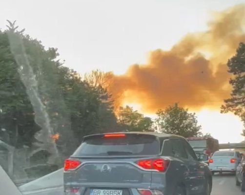 Incendiu de vegetație uscată în Eforie Nord. Video